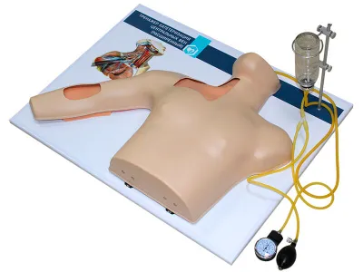 М0004 Тренажер катетеризации центральных вен