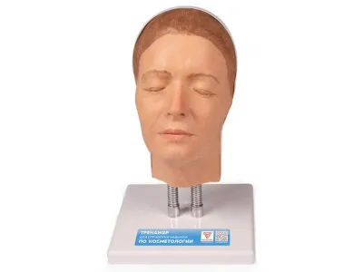 Тренажер для отработки навыков по косметологии