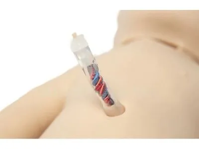 P1006 МАЛЫШ 2 Манекен-симулятор новорожденного для кабинета педиатра (СЛР, уход за пуповиной)