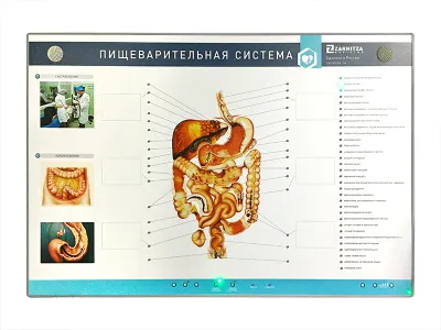 310_МУ0020_Интерактивный_тренажерный_комплекс_эндоскопии_2