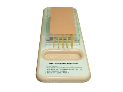 М0307 Тренажер для отработки навыков внутривенных инъекций ТВИ-1.01