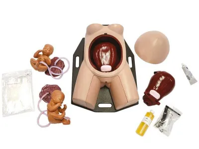 1022567 Тренажер навыков неотложного кесарева сечения C-Celia