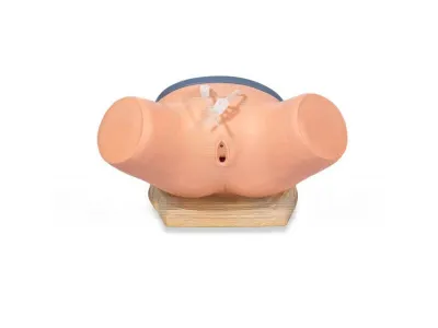 P17F Тренажер для демонстрации навыков катетеризации уретры у женщин