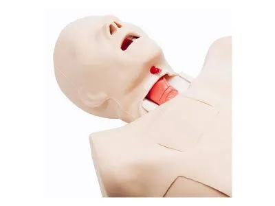 1020959 Тренажер Truman для реанимационных и хирургических процедур