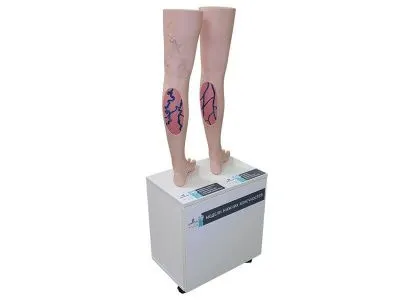 М0548 Модели нижних конечностей взрослого человека, для демонстрации варикозного заболевания вен