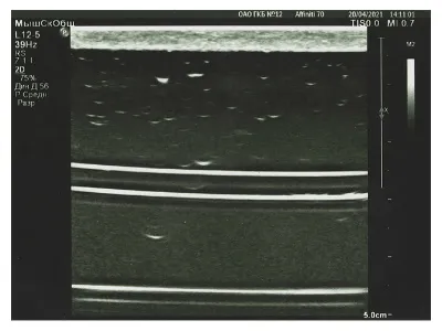 310_Фантом_УИ-1.01.П_3