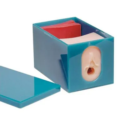 310_1005579 Набор из моделей 3