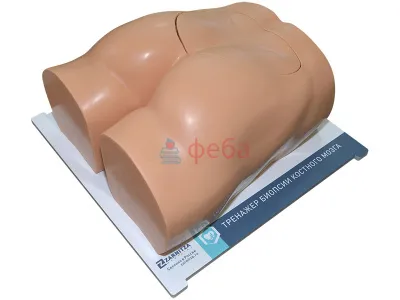 310_МУ0606_Тренажер_навыков_костной_биопсии_1