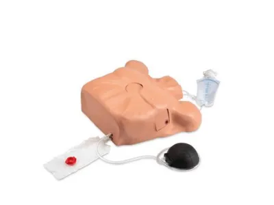 1018828 Тренажер для отработки навыков перикардиоцентеза