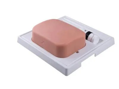 1019638 Модель желчного пузыря Gallbladder для УЗИ