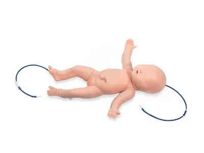 P10029 Тренажер для отработки навыков внутривенных инъекций, инфузий и пункции вен младенца