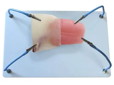 МУ0393 Пособие для отработки навыков лапароскопии «Кишка с аппендиксом»