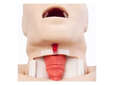 1020959 Тренажер Truman для реанимационных и хирургических процедур