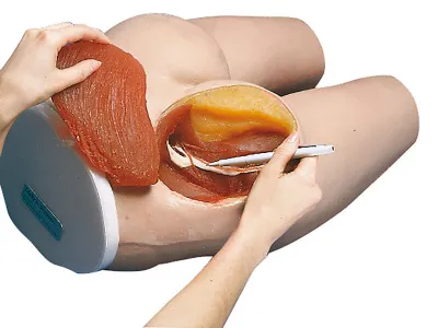 Тренажер-манекен для внутримышечных инъекций, ягодица 1005586 Тренажер-манекен для внутримышечных инъекций, ягодица