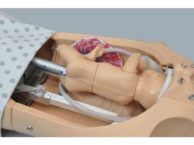 NOELLE® родовый симулятор (торс без СЛР)_3