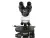 28089 Микроскоп биологический Микромед 2 (2-20 inf.)
