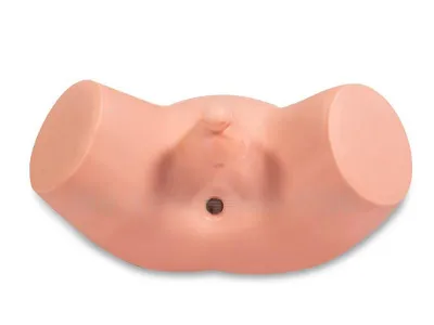 P63 Тренажер для отработки навыков обследования и массажа предстательной железы (9 сменных модулей)