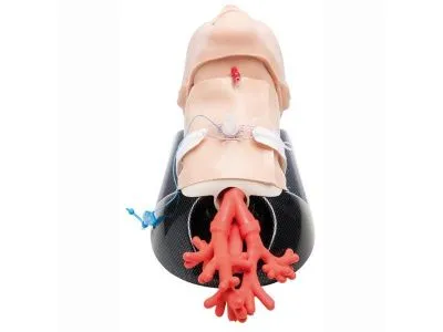 1021550 Расширенный тренажер AirSim Combo Bronchi X для практики с дыхательными путями