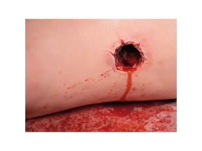 1023106 Нога-тренажер для обучения остановки кровотечения P103493