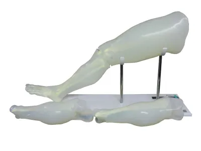 Тренажер наложения гипсовой повязки ТГП-2.01_1