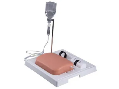 1019637 Модель вен SONOtrain™ для УЗИ