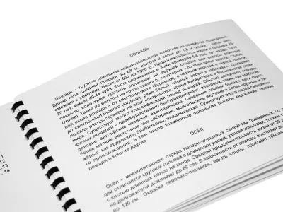 Пособие для детей с нарушением зрения. Дикие млекопитающие_3