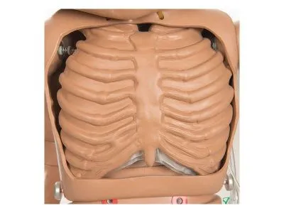 1017543 Тренажер неотложной помощи CPR SUSIE® для ухода за пациентом и реанимации