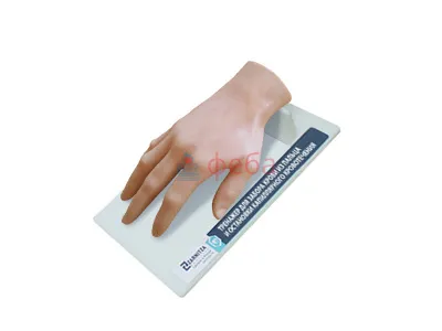 310_МУ0583_Тренажер_забора_крови