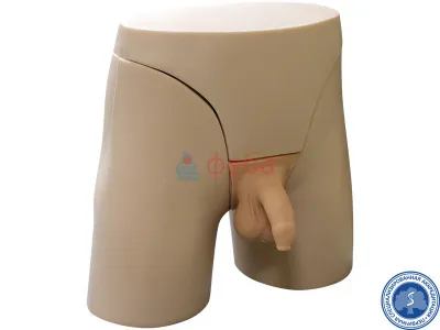 310_МУ0314_Тренажер_наружного_осмотра_1