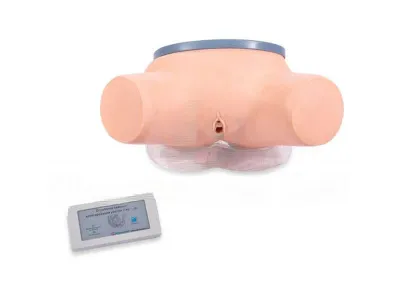 P10410 Тренажер для отработки навыков катетеризации мочевого пузыря КАТ-ПРОФИ женский с электронным котроллером