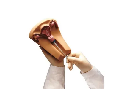 Тренажер введения внутриматочного контрацептива