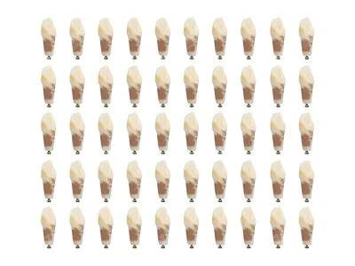 310_МУ0371_Комплект_50_модельных_зубов