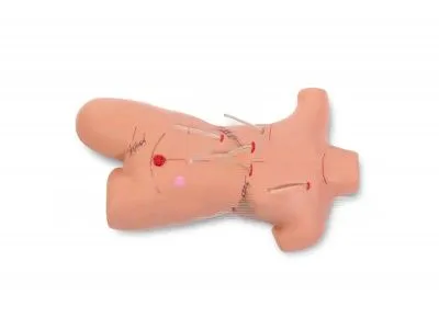 P18 Тренажер наложения швов и повязок