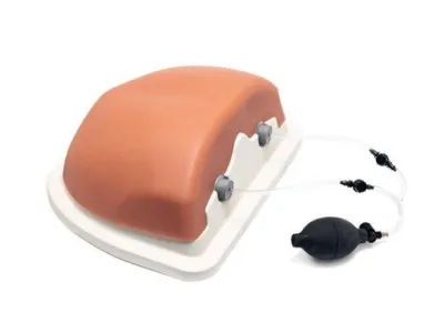 1021899 Тренажер для спинальных инъекций в грудную клетку под визуальным контролем