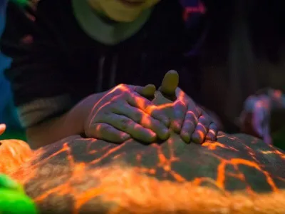 intp интерактивная песочница