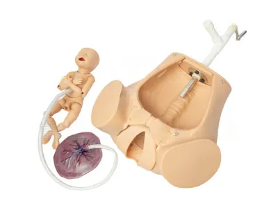 P54 Симулятор для отработки акушерских навыков с ручным позиционированием плода с дополнительными возможностями