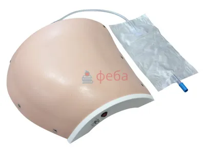 310_МУ0523 _Тренажер_для_инъекций_в_ягодицу