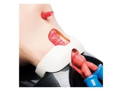 1021904 Универсальный тренажер ребенка AirSim Child Combo X для интубации