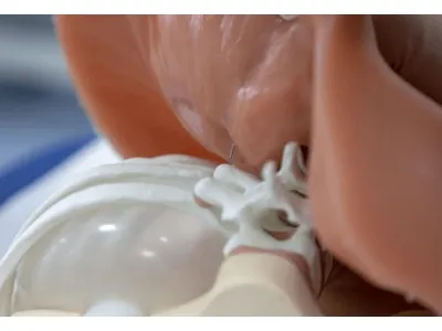 1021899 Тренажер для спинальных инъекций в грудную клетку под визуальным контролем