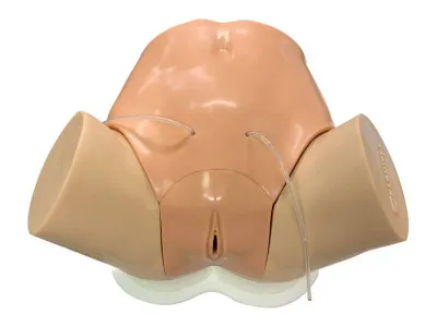 Тренажер для обучения катетеризации мочевого пузыря (женский и мужской)