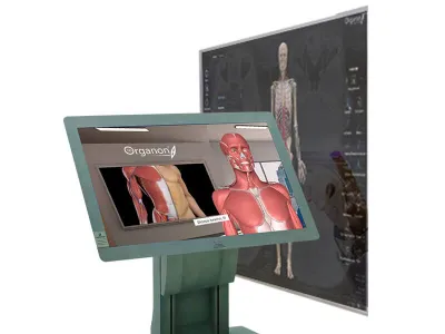 МУ0621 Виртуальный учебный комплекс «Анатомический атлас 4.0» 1