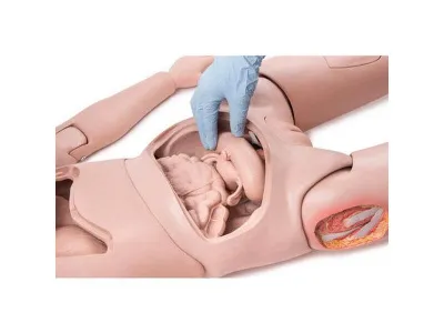 1018816 Манекен для ухода за пациентами PRO