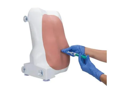 1017891 Симулятор для эпидуральных и спинальных инъекций