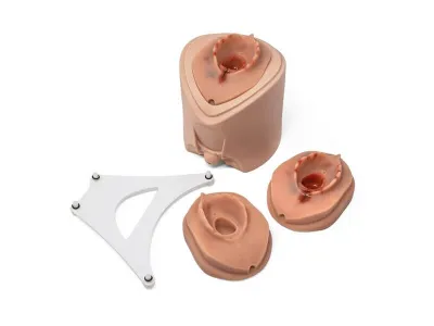 Модуль для обучения наложению швов при эпизиотомии к имитатору родов 1022879