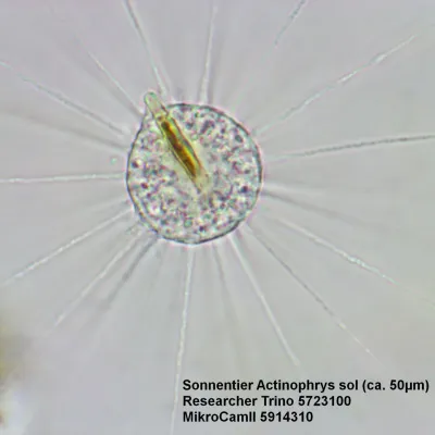 62567_bresser-microscope-researcher-trino_14