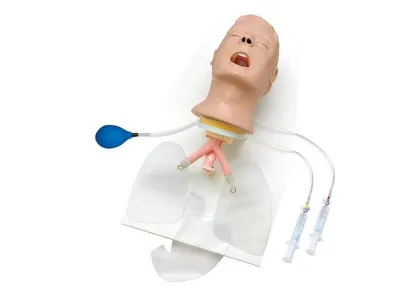 Усовершенствованный тренажер-модель головы «Airway Larry», на стойке