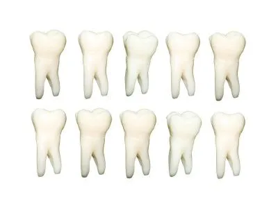 МУ0140 Комплект из 10 модельных зубов одного номера З-28-1.10