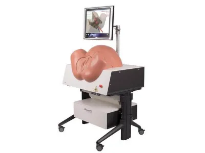 1019599 Тренажер для принятия естественных родов SIMone™