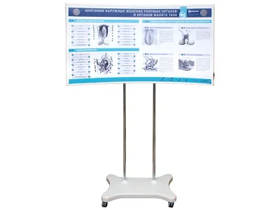 310_Комплекс_Гинекология_4