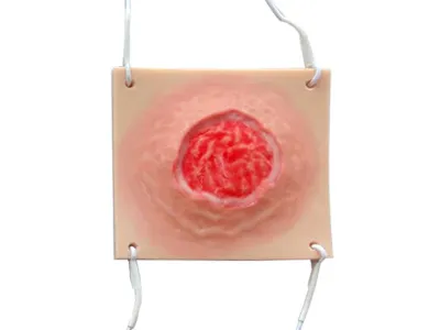 310_МУ0513_Комплект_накладных_моделей_3